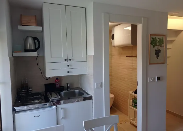 Appartement With Wifi Pitve, Hvar - 22114 *